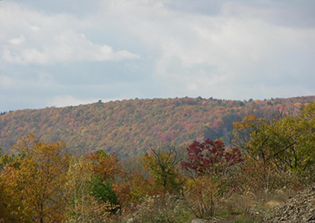 Mahoning Inn Lehighton Εξωτερικό φωτογραφία